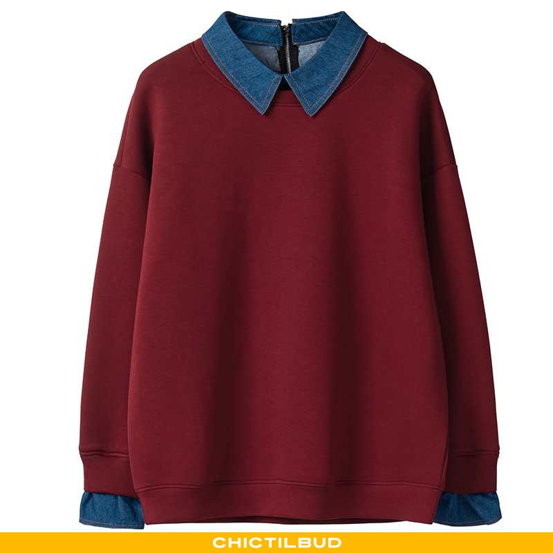 Hættetrøje Dame Mode Pullover Bordeaux